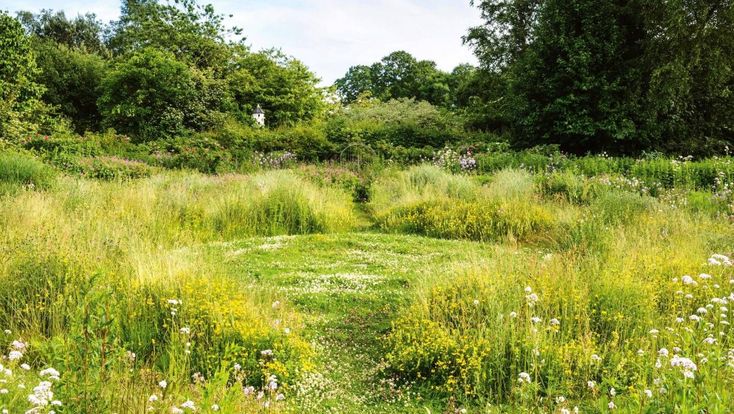 Image montrant un jardin fait de massifs, d'herbes hautes, sauvages.